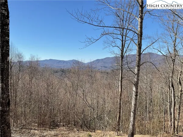 $125,000 | Tbd Lot 8 Tbd Drive, Elk Park, NC 28622