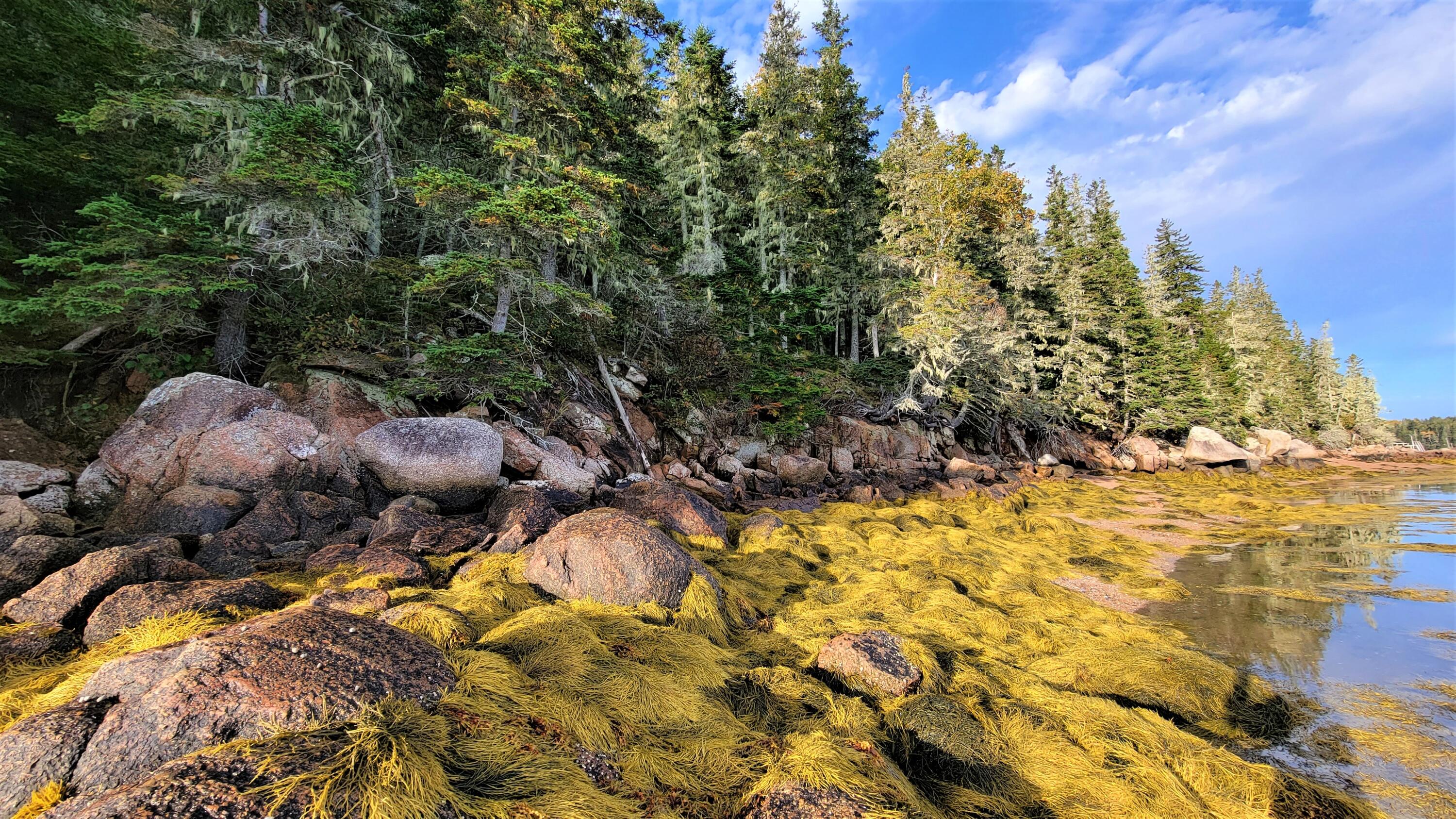 0 Sunshine Road Deer Isle, ME 04627 - Photo 12 of 20 Beach 7