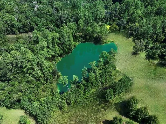 $8,900,000 | 7780 North Whippoorwill Terrace, Hernando, FL 34442