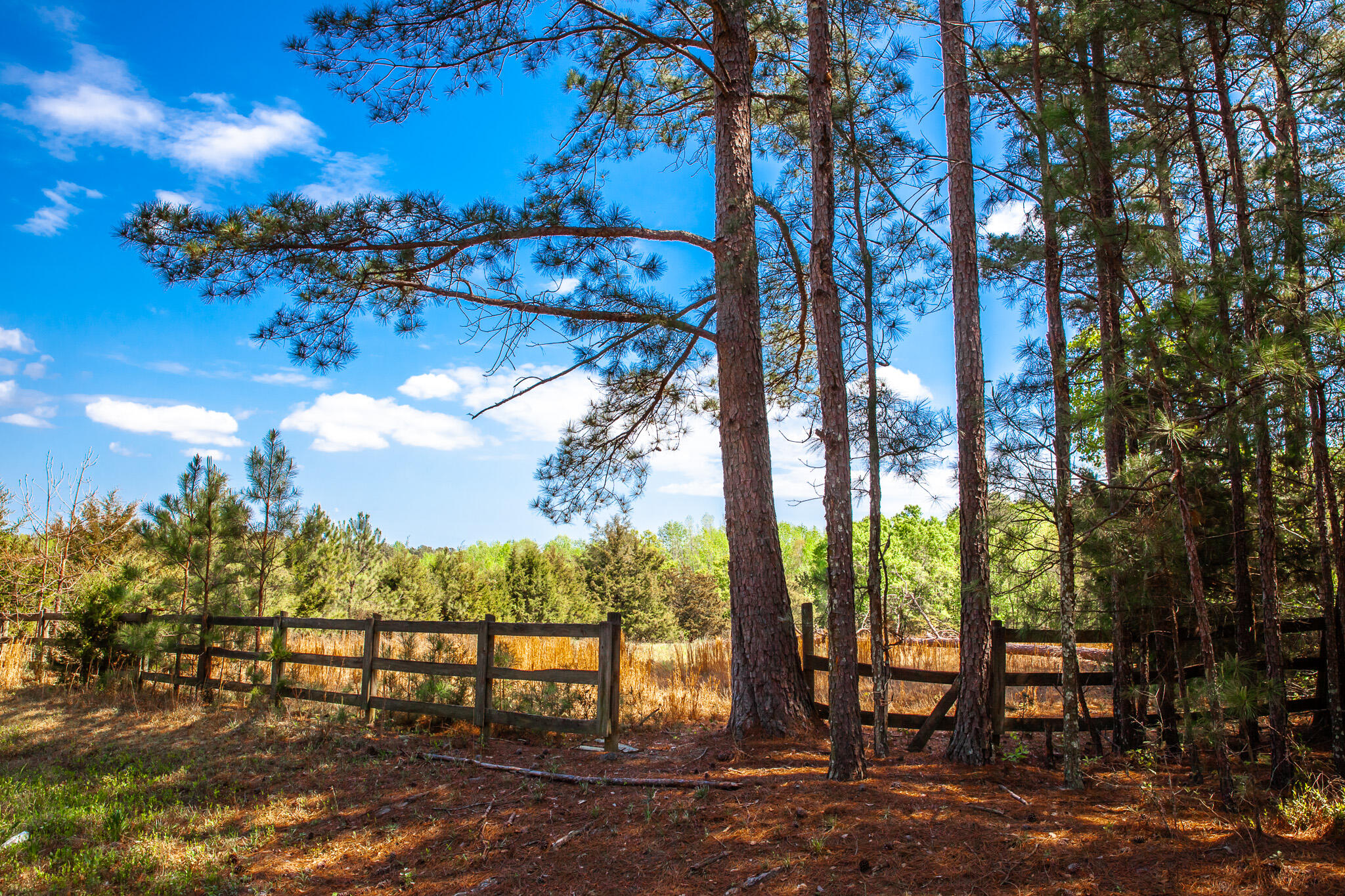 Lot 3 Smith Crawford Road Thomson, GA 30824 - Photo 1 of 19 IMG_5189