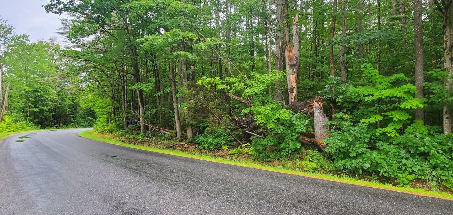 Lot 44 River Road Leeds, ME 04263 - Photo 14 of 30 294504099_583941330105769_66478109045846