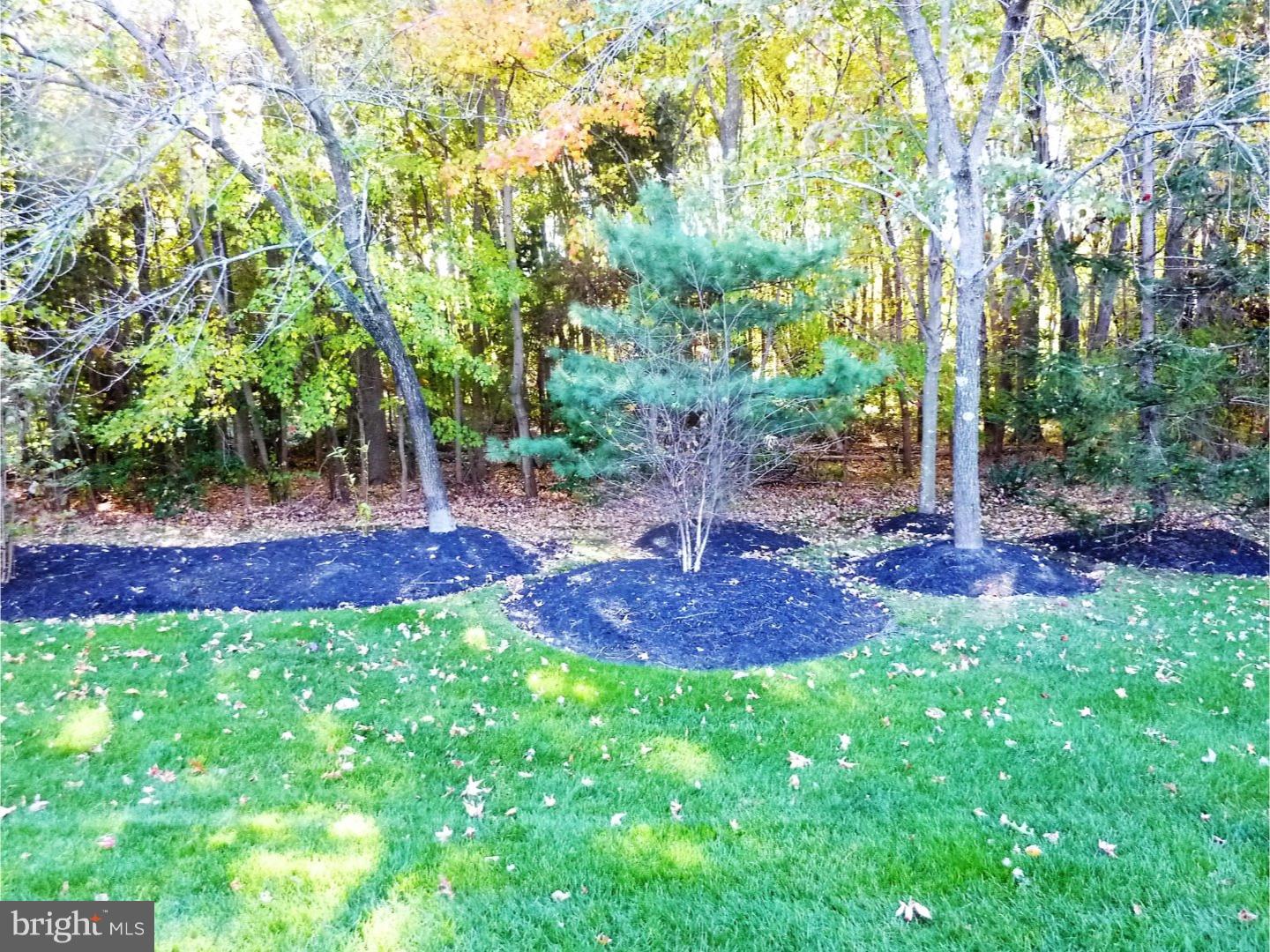 109 Quail Road Marlton, NJ 08053 - Photo 14 of 24 View in Back