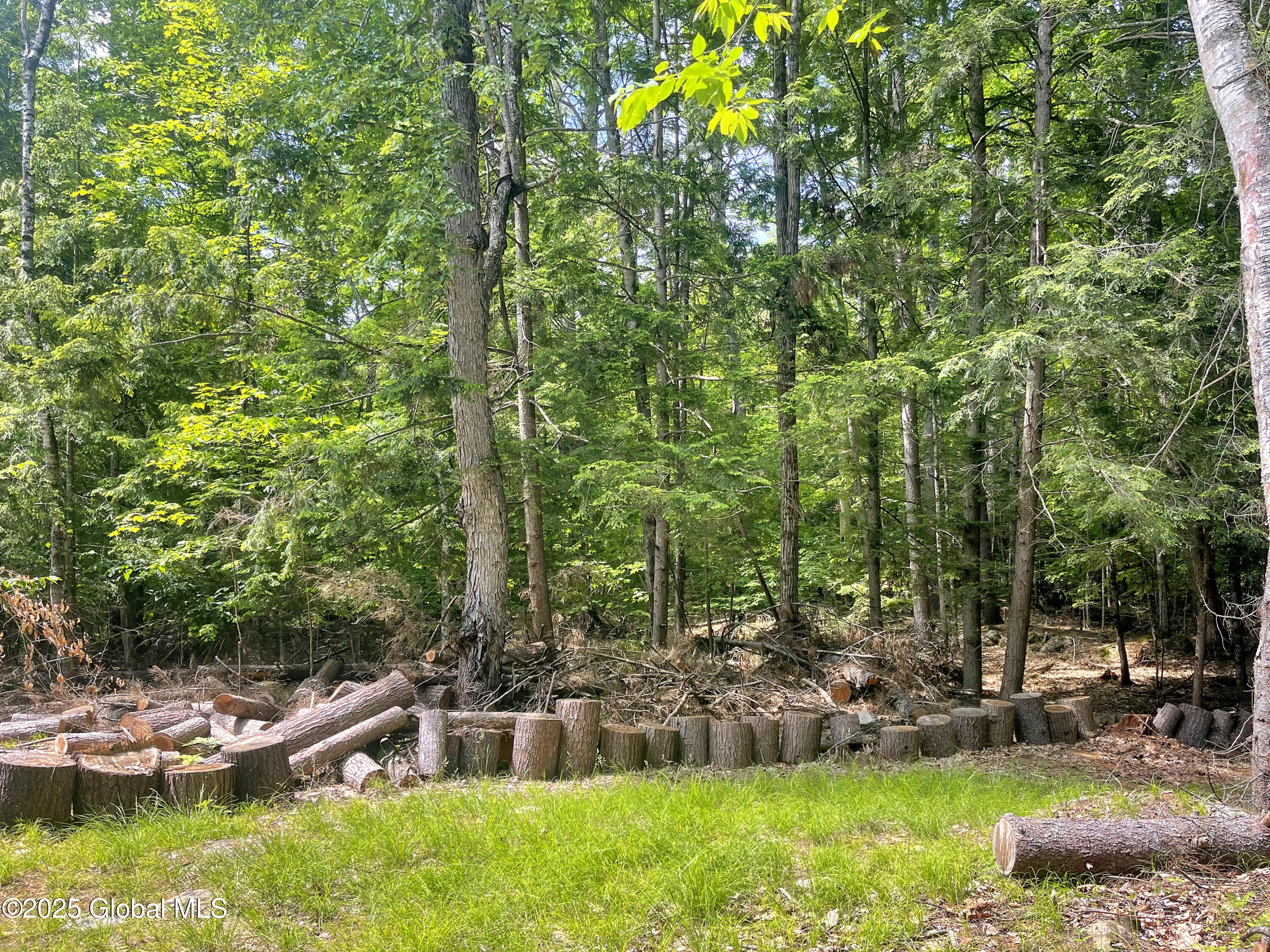 40 Fld Road North Chester, NY 12853 - Photo 10 of 42 CE648F13-8E97-4E26-8CA9-489BB6543445 (1)