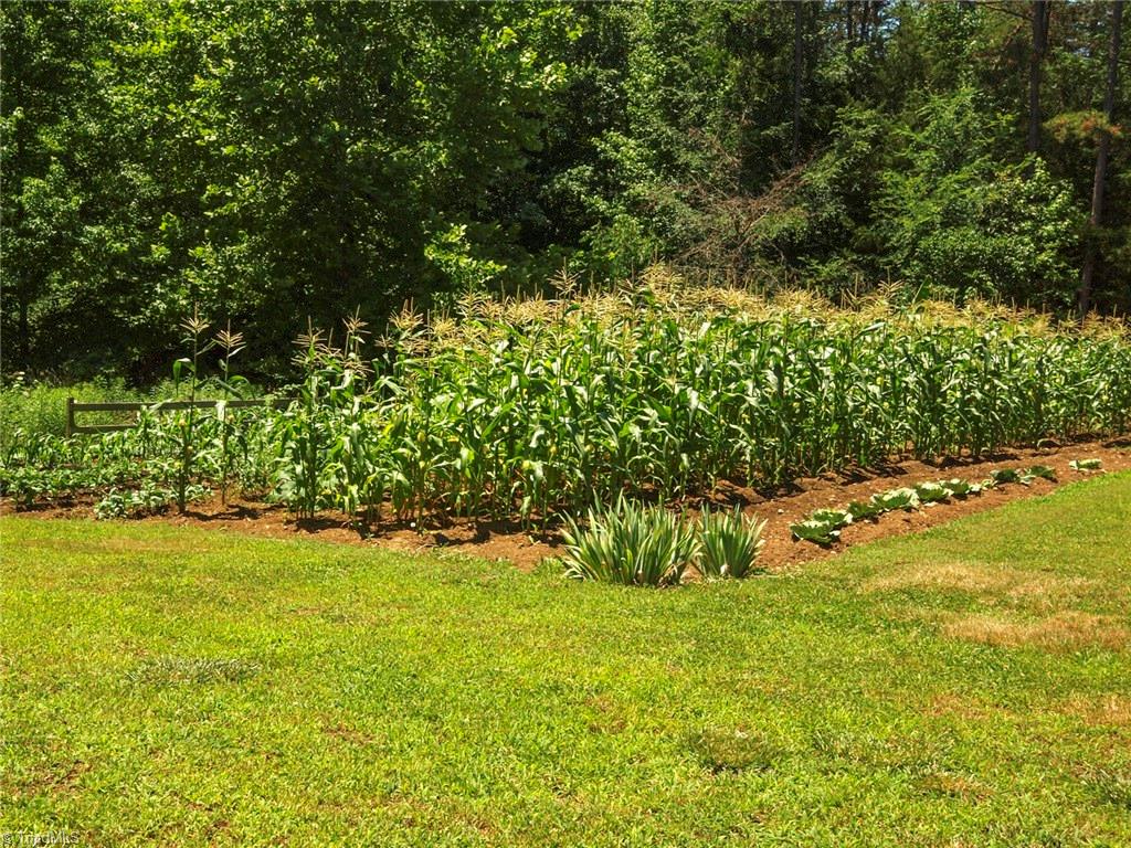 571 Ridge Road Mocksville, NC 27028 - Photo 30 of 30 Garden