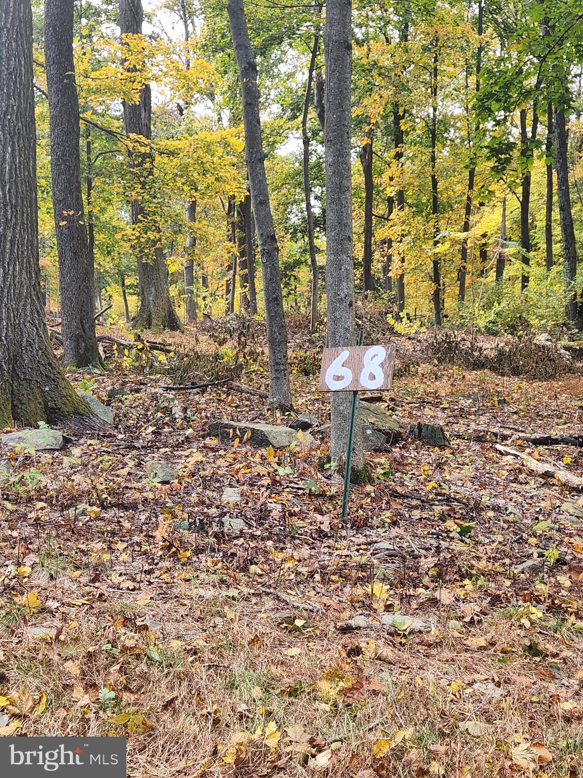 Lot 68 Mountain Top Road Cascade, MD 21719 - Photo 7 of 10