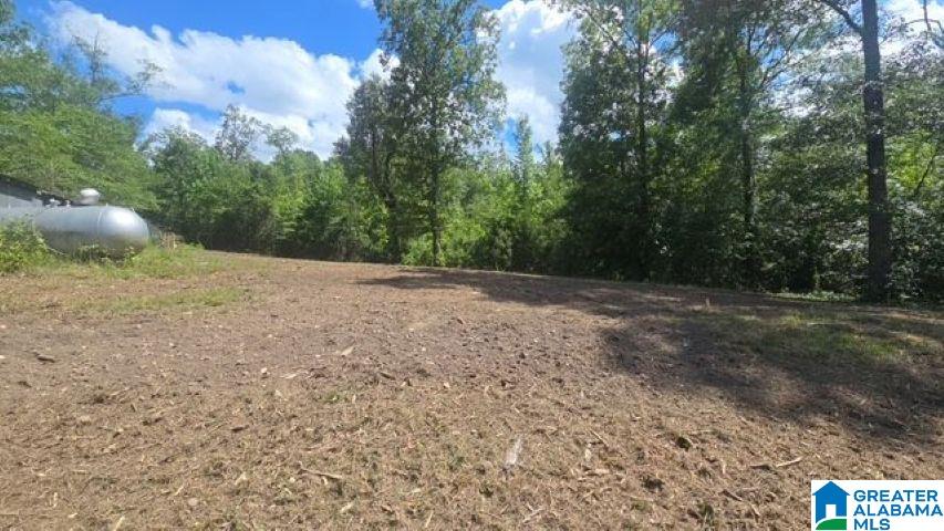 1663 County Road 2 Montevallo, AL 35115 - Photo 45 of 46
