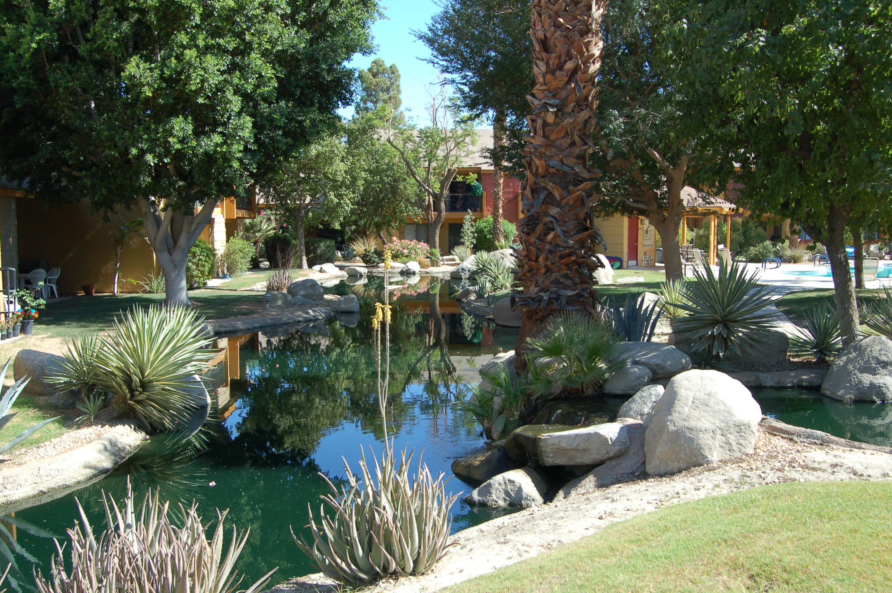 48255 Monroe Street, Unit 6 Indio, CA 92201 - Photo 26 of 43 a view of a backyard with sitting area