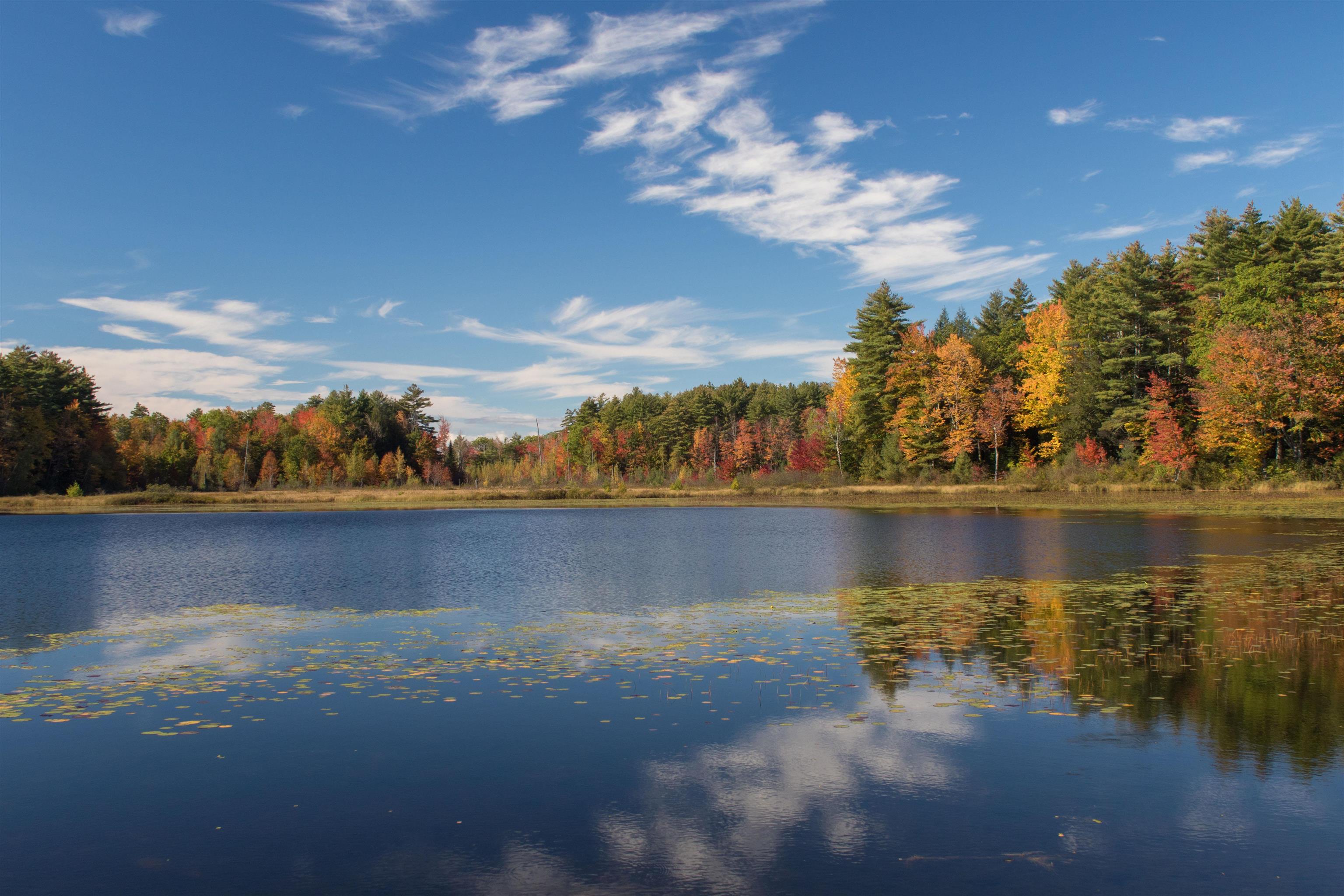 900 Bunker Hill Road Tamworth, NH 03886 - Photo 4 of 60