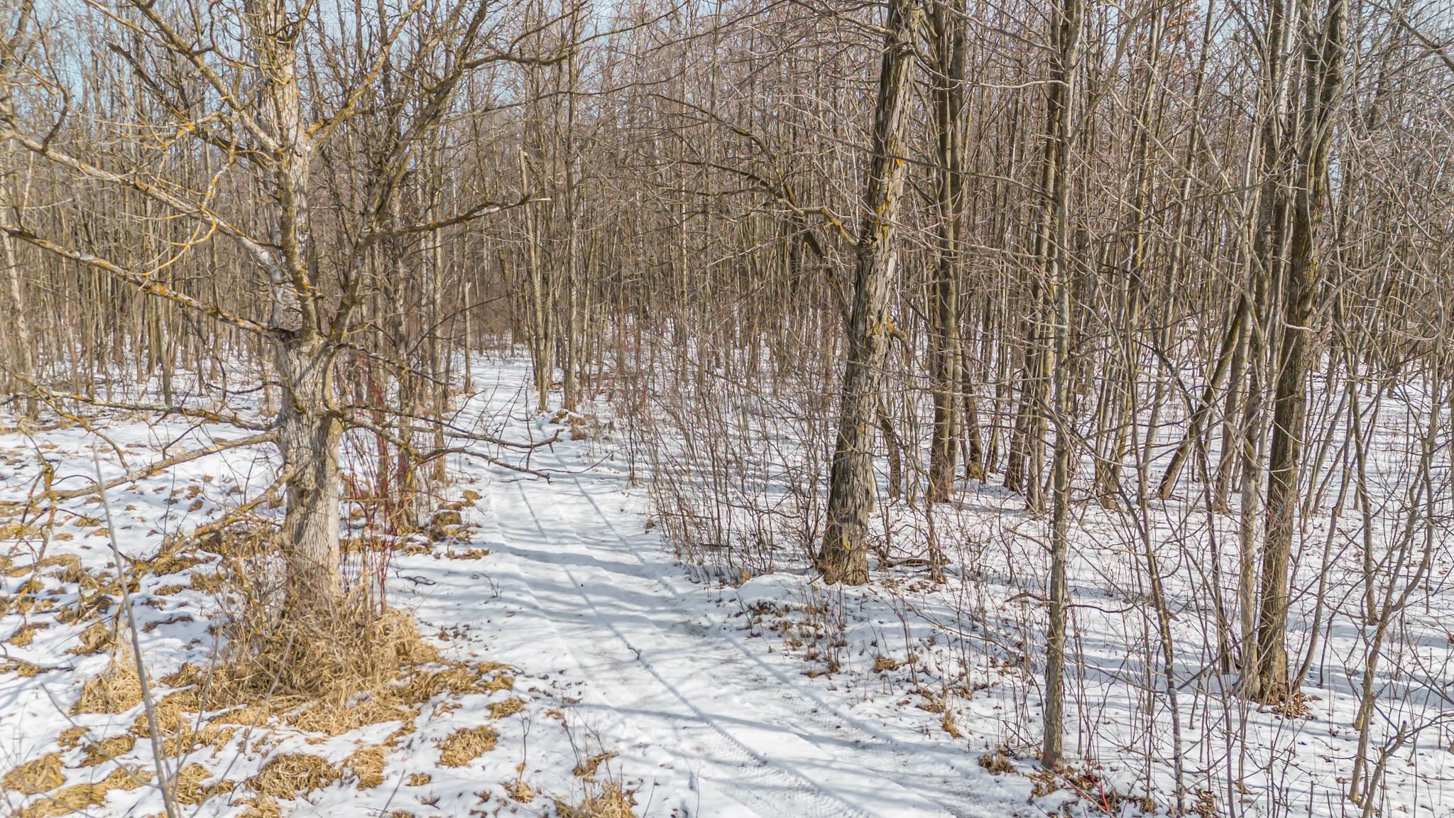 Cty Road Pine River, WI 54965 - Photo 13 of 53