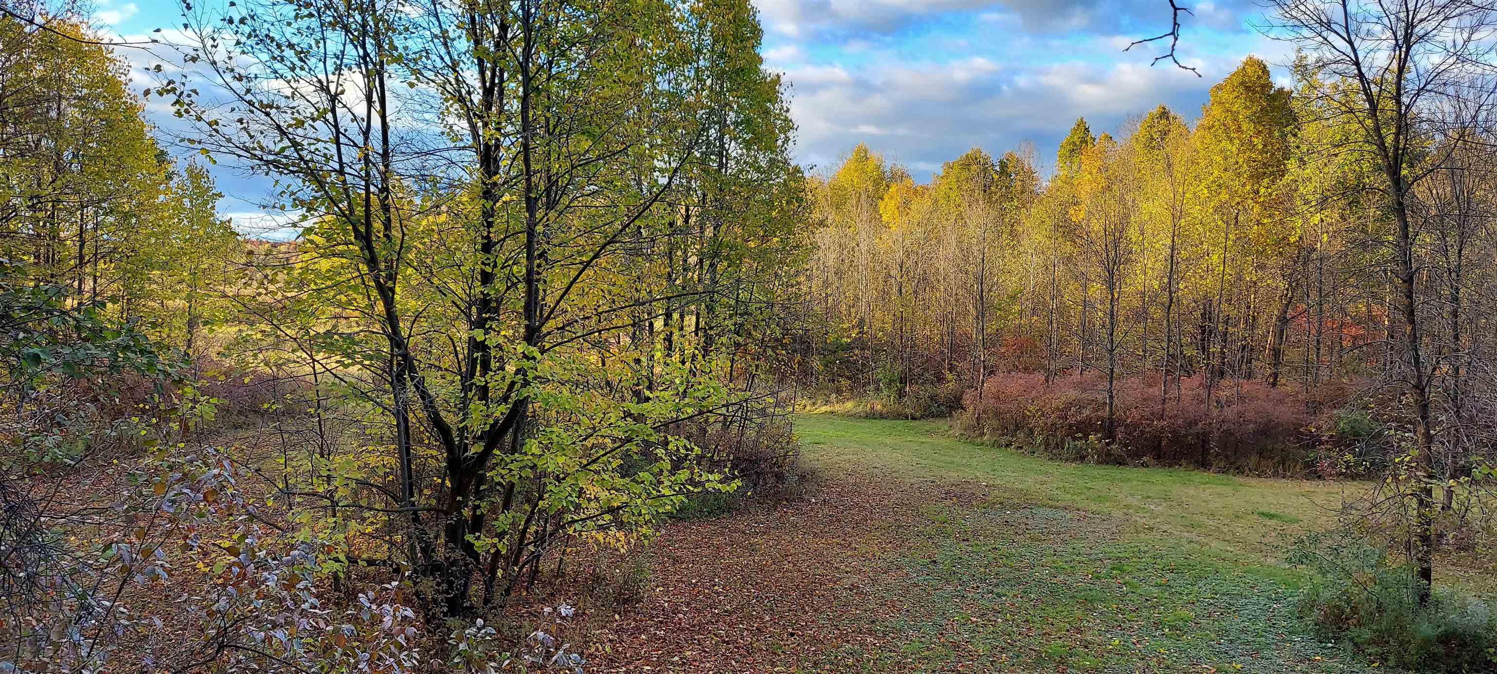 Cty Road Pine River, WI 54965 - Photo 2 of 53