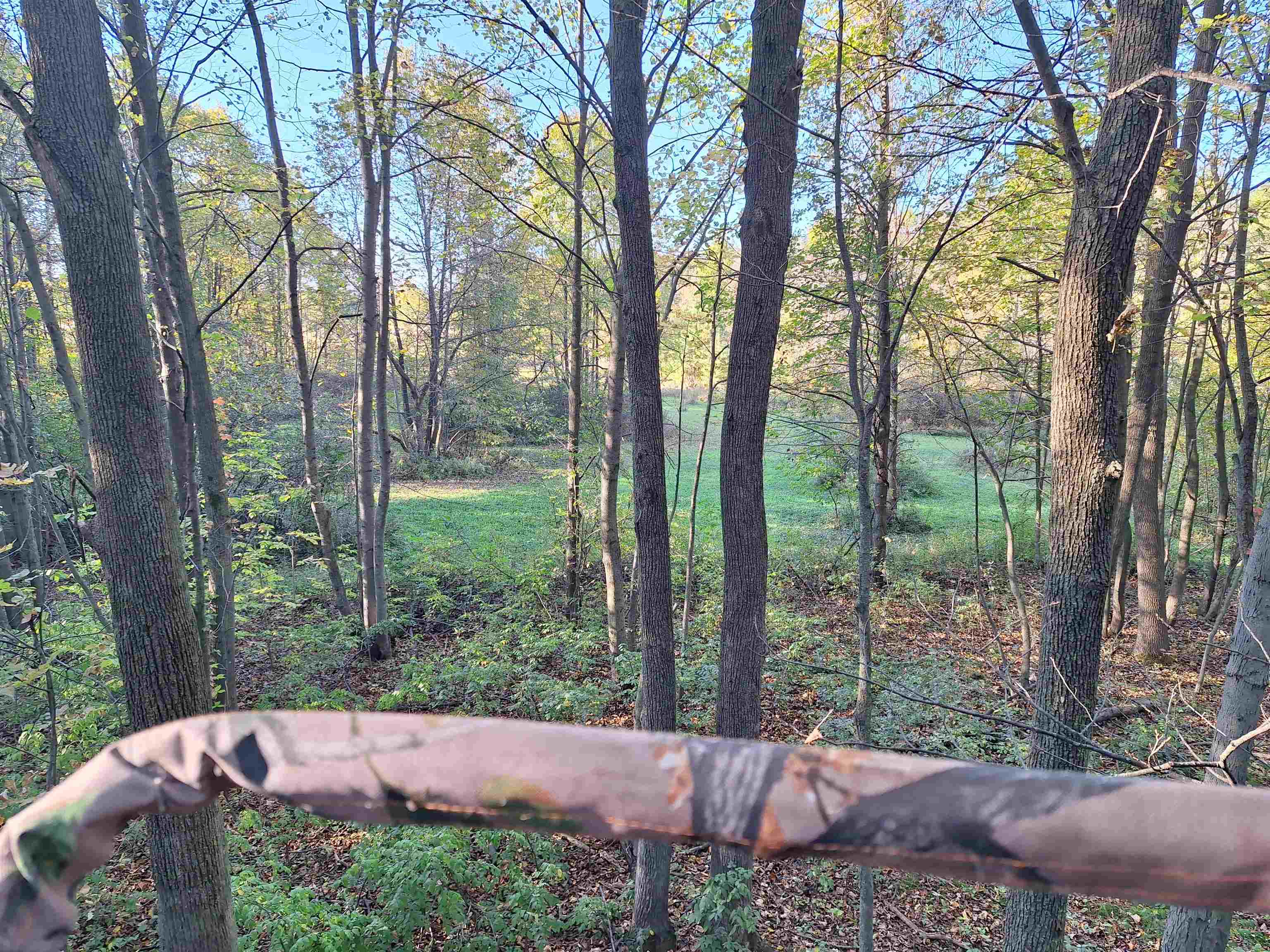 Cty Road Pine River, WI 54965 - Photo 3 of 53