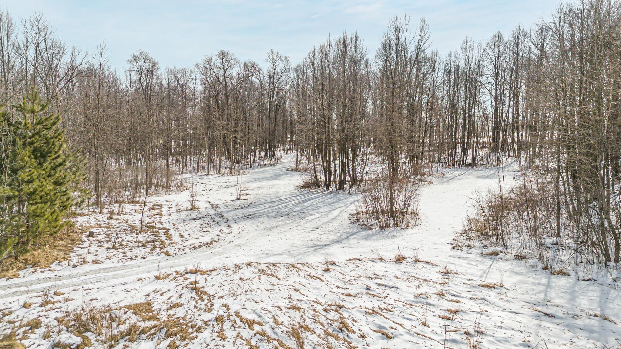 Cty Road Pine River, WI 54965 - Photo 39 of 53