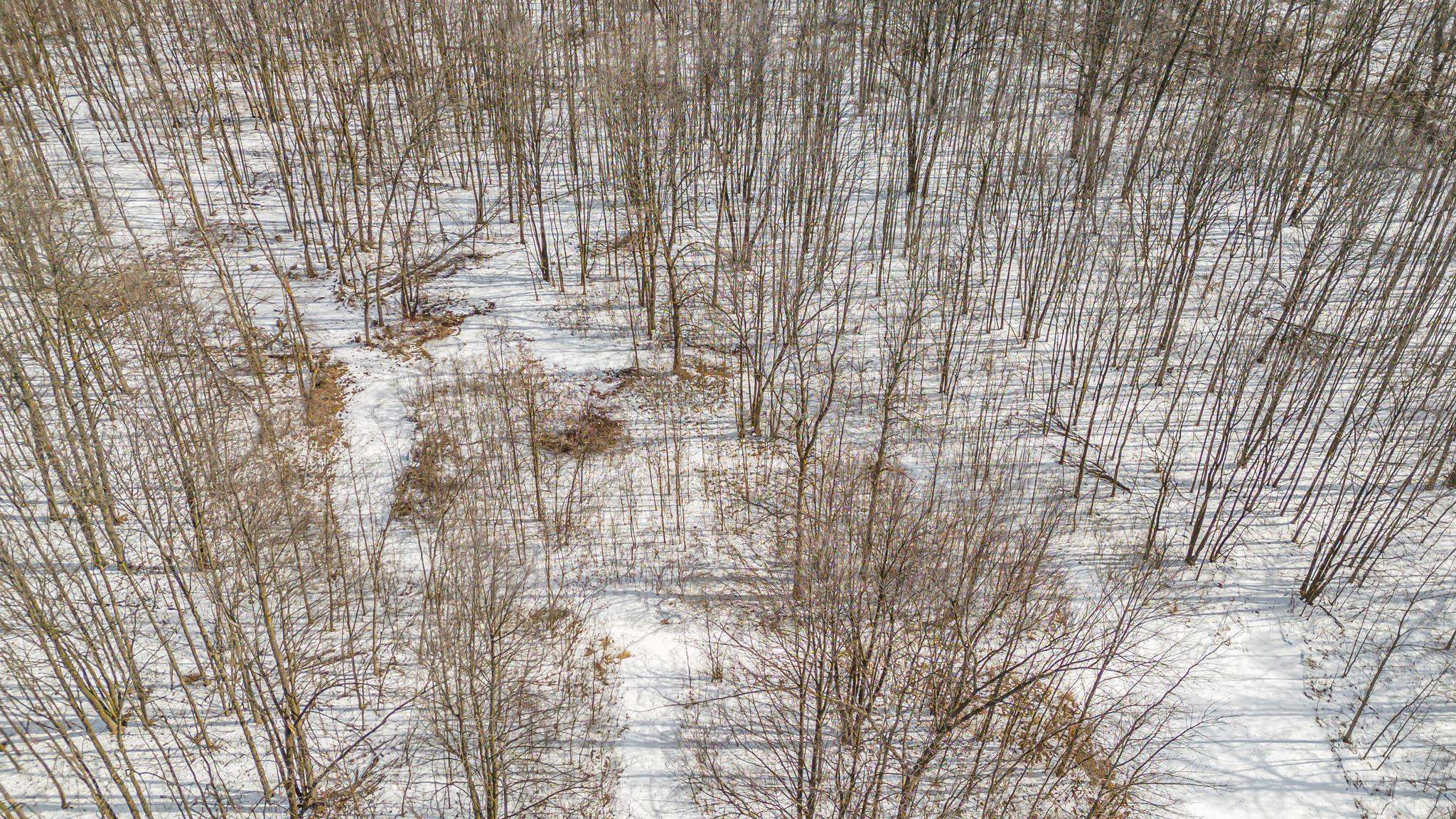 Cty Road Pine River, WI 54965 - Photo 40 of 53