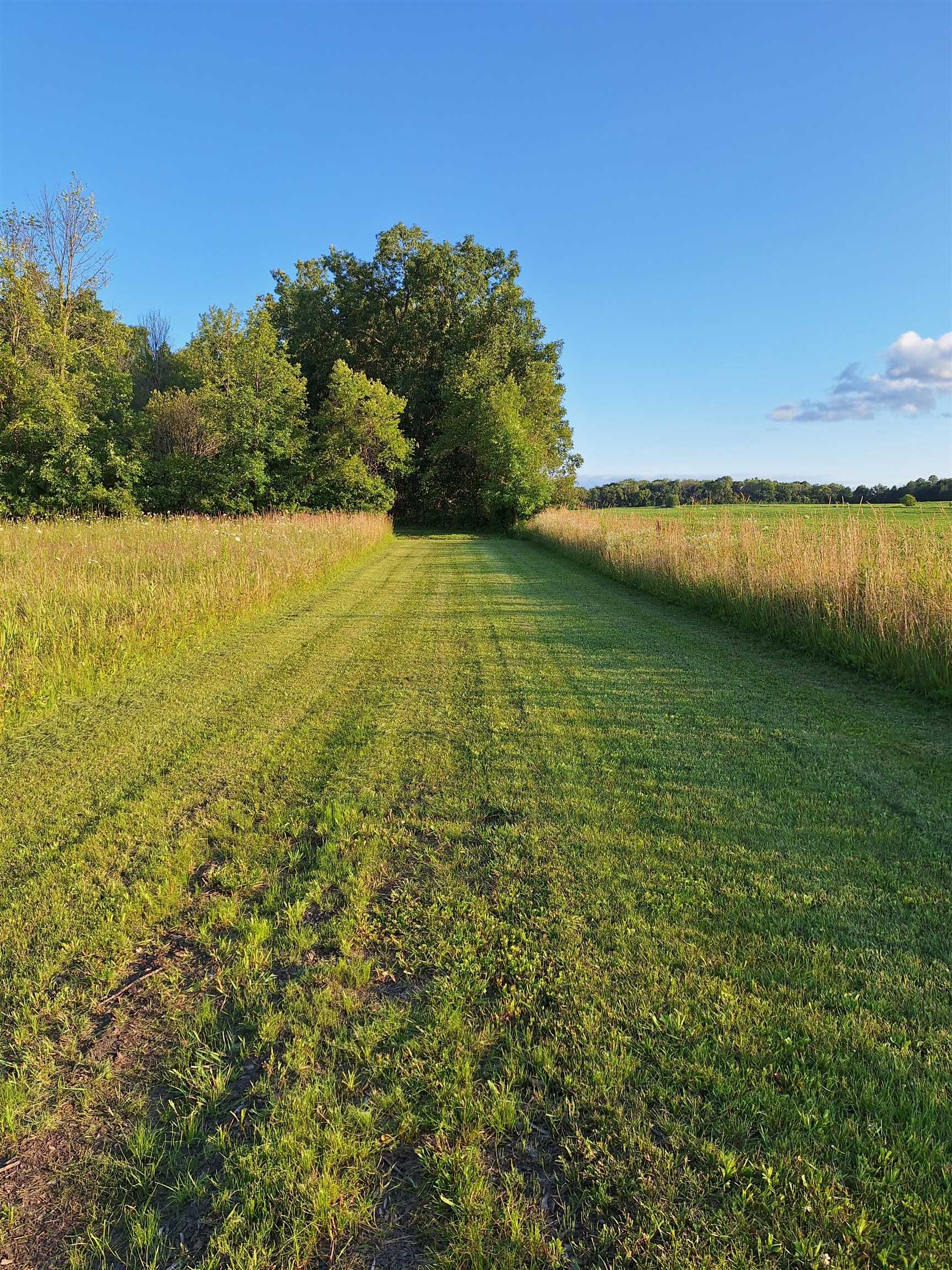 Cty Road Pine River, WI 54965 - Photo 4 of 53