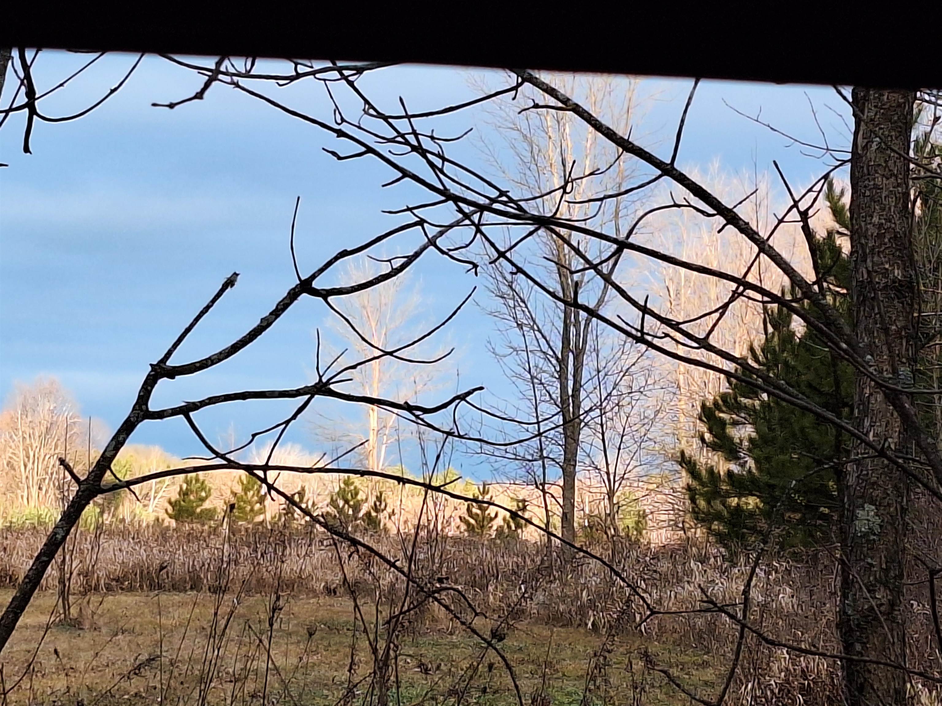 Cty Road Pine River, WI 54965 - Photo 6 of 53