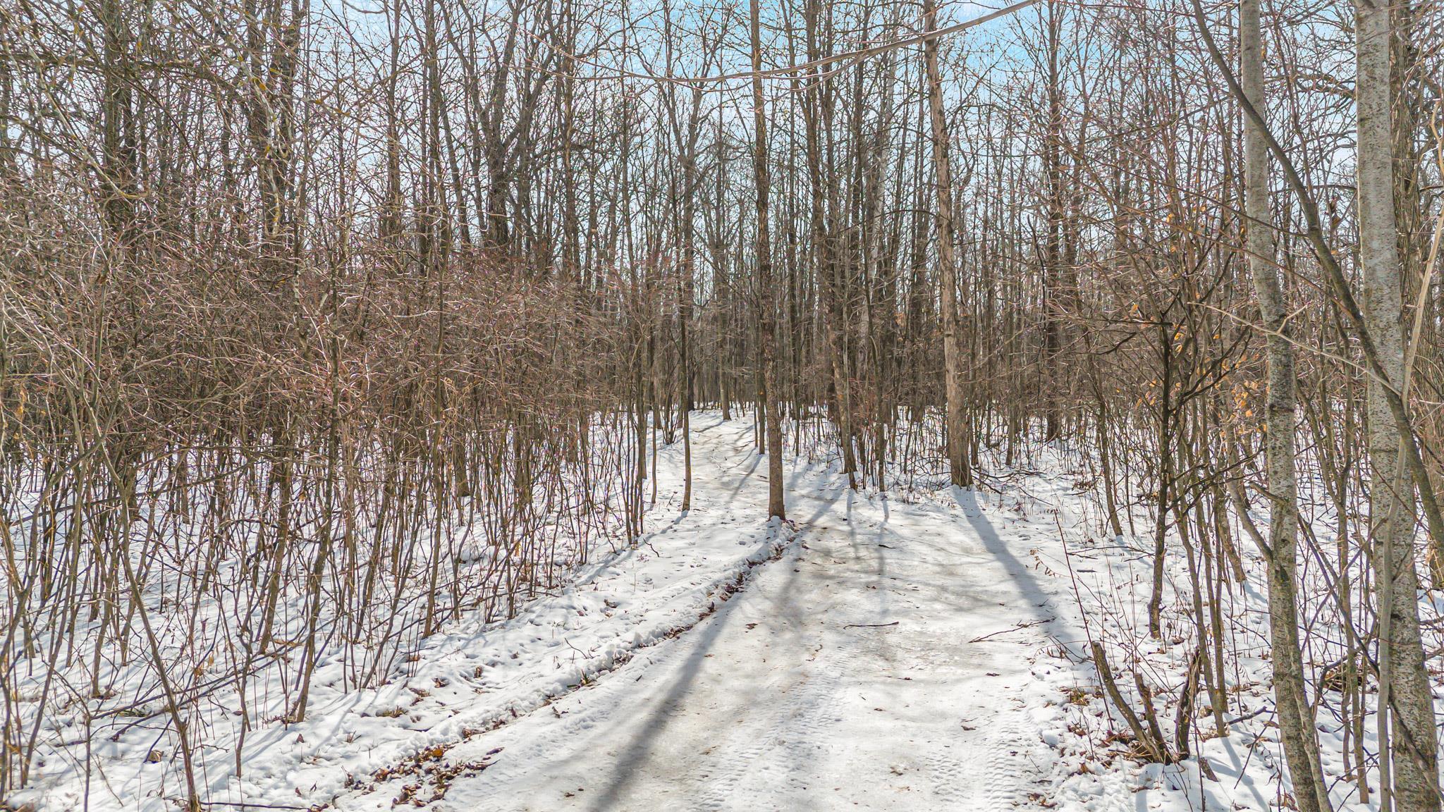 Cty Road Pine River, WI 54965 - Photo 9 of 53