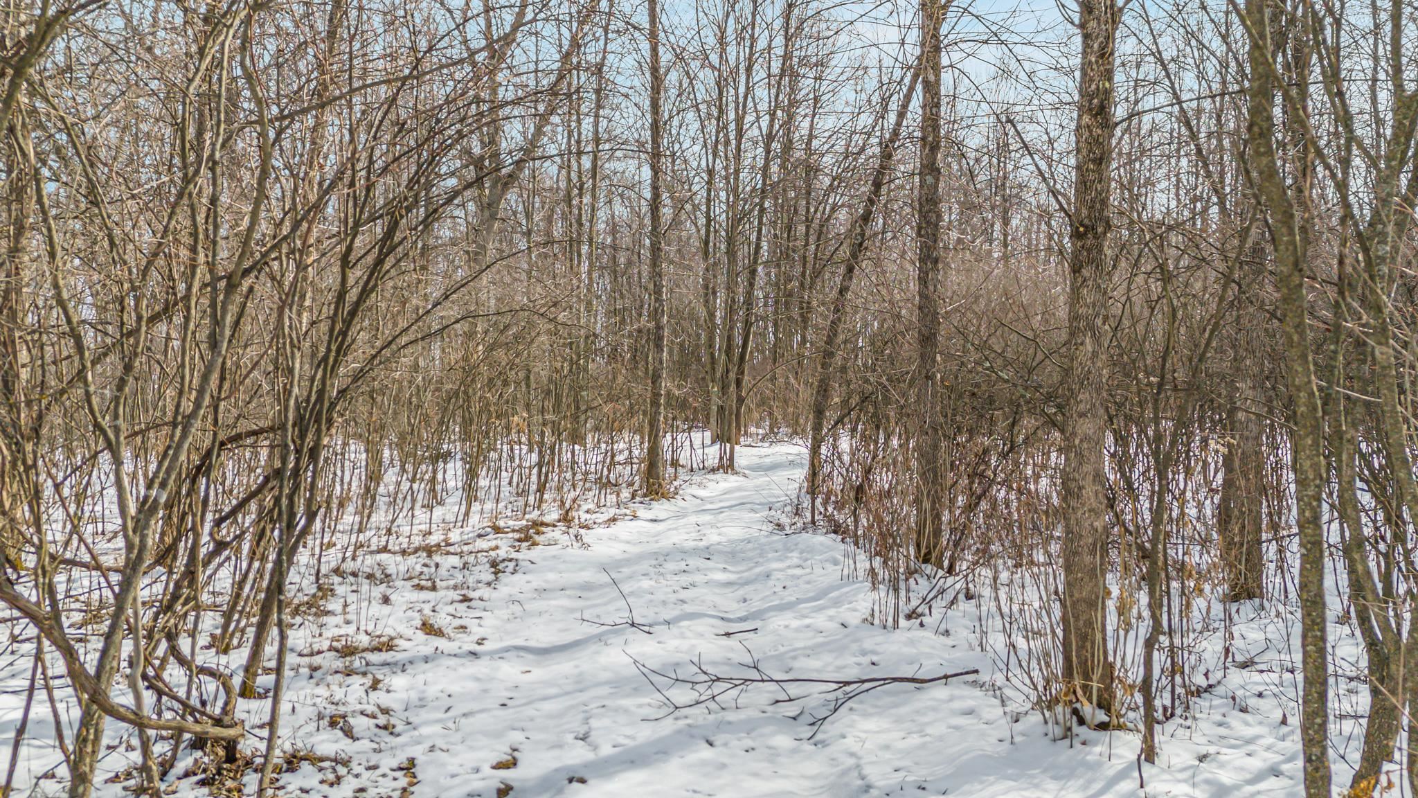 Cty Road Pine River, WI 54965 - Photo 10 of 53