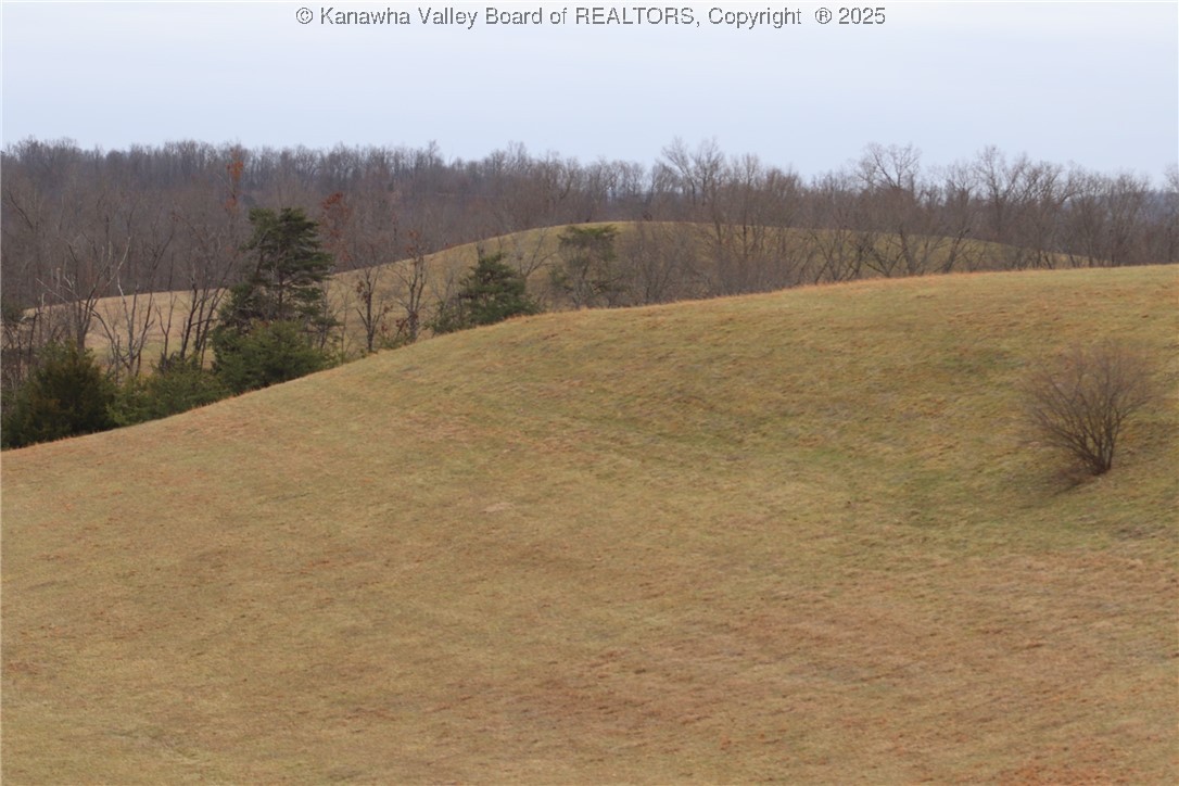 214 Spruce Run Road Ripley, WV 25271 - Photo 26 of 45 Gallery Image 26