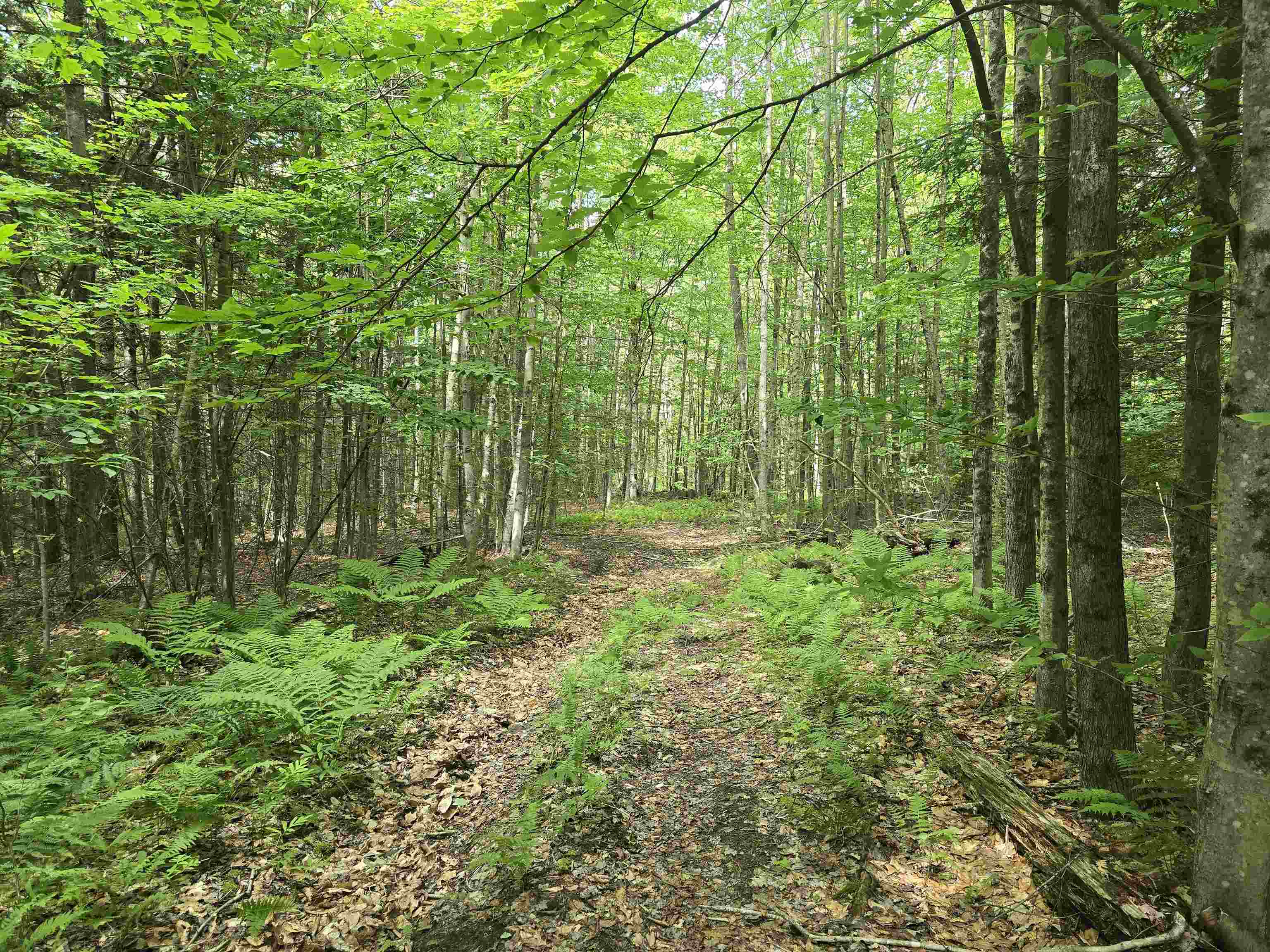 Tbd Farrar Road Chester, VT 05143 - Photo 21 of 24