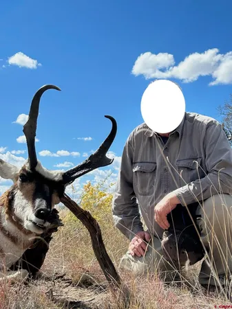 a view of a yard with an outdoor space