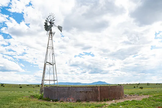 a view of a garden with a tree in the background