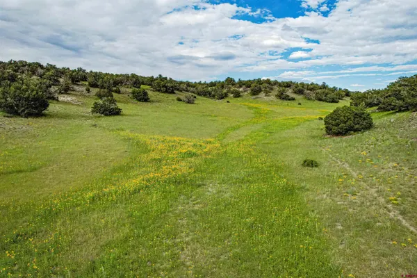 $3,200,000 | 0 Omega Road, Unit CAT HILL, Pie Town, NM 87827