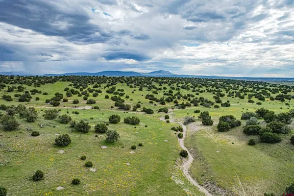 $3,200,000 | 0 Omega Road, Unit CAT HILL, Pie Town, NM 87827