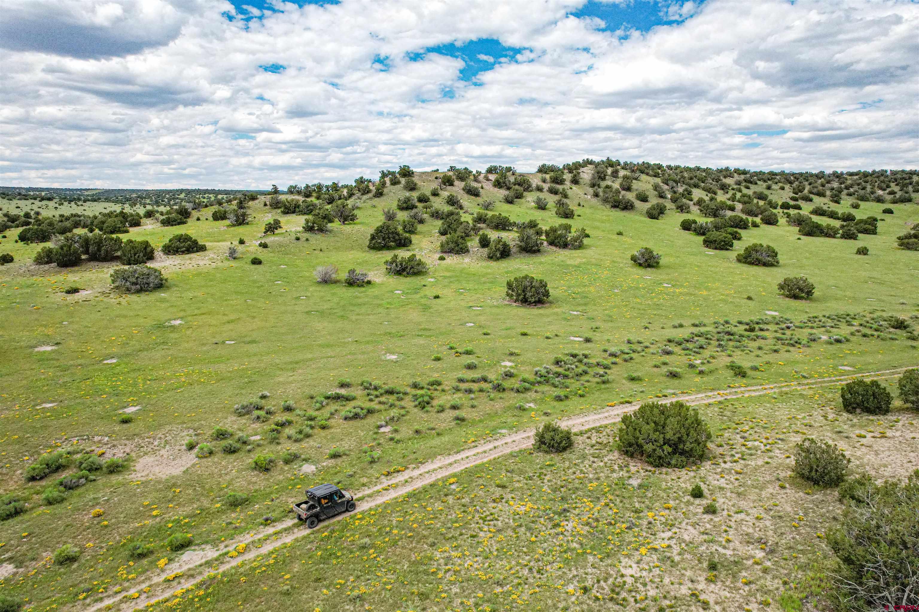 0 Omega Road, Unit CAT HILL Quemado, NM 87829 - Photo 25 of 43 a view of a field with an ocean