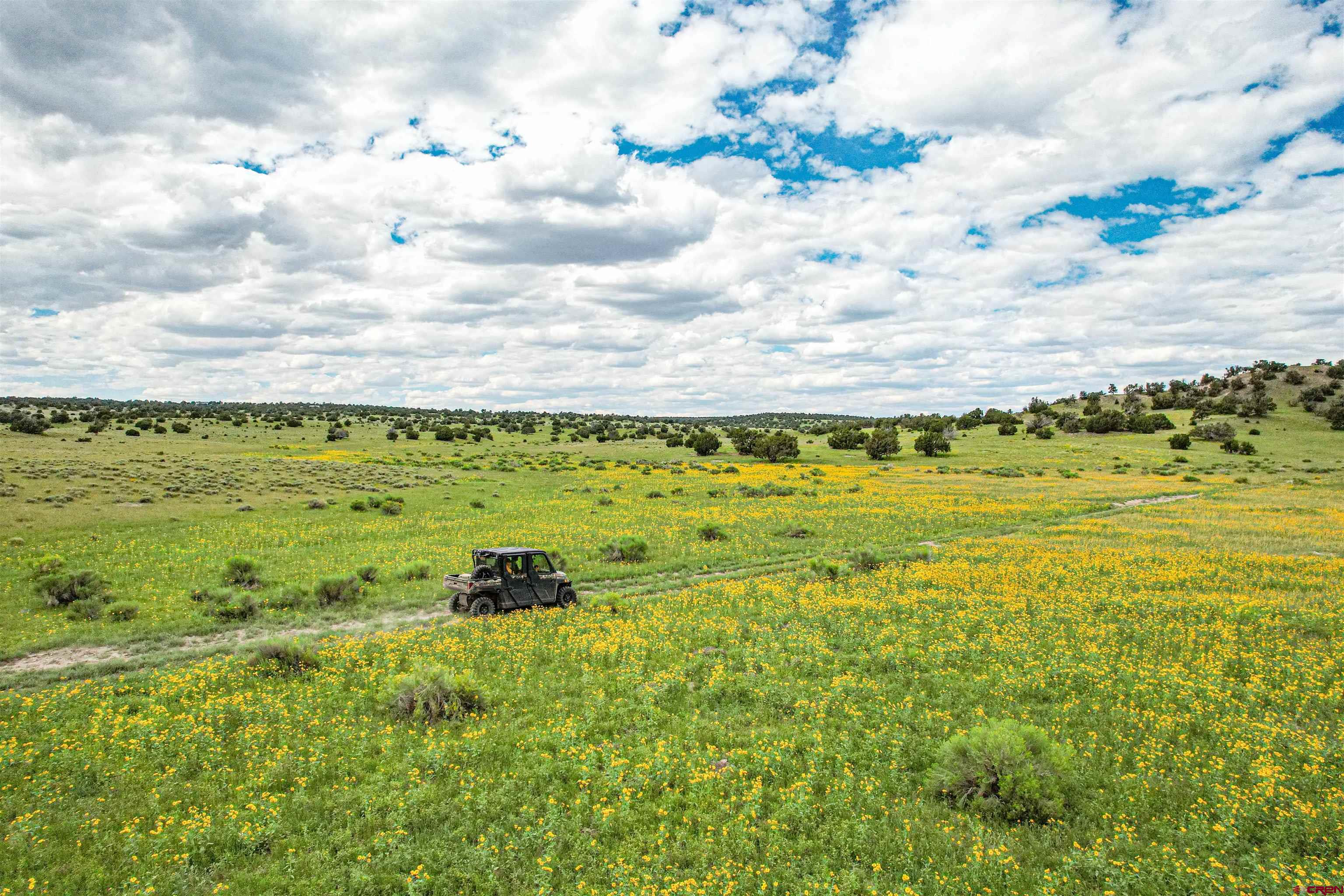0 Omega Road, Unit CAT HILL Quemado, NM 87829 - Photo 26 of 43 a view of a large building with lots of green space