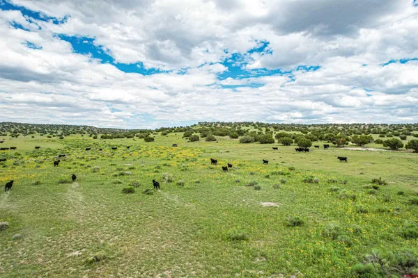 $3,200,000 | 0 Omega Road, Unit CAT HILL, Pie Town, NM 87827