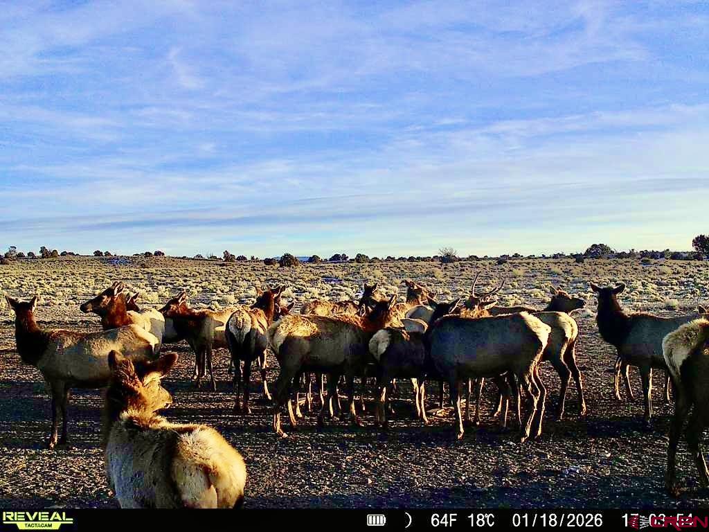 0 Omega Road, Unit CAT HILL Quemado, NM 87829 - Photo 3 of 43 a view of a terrace