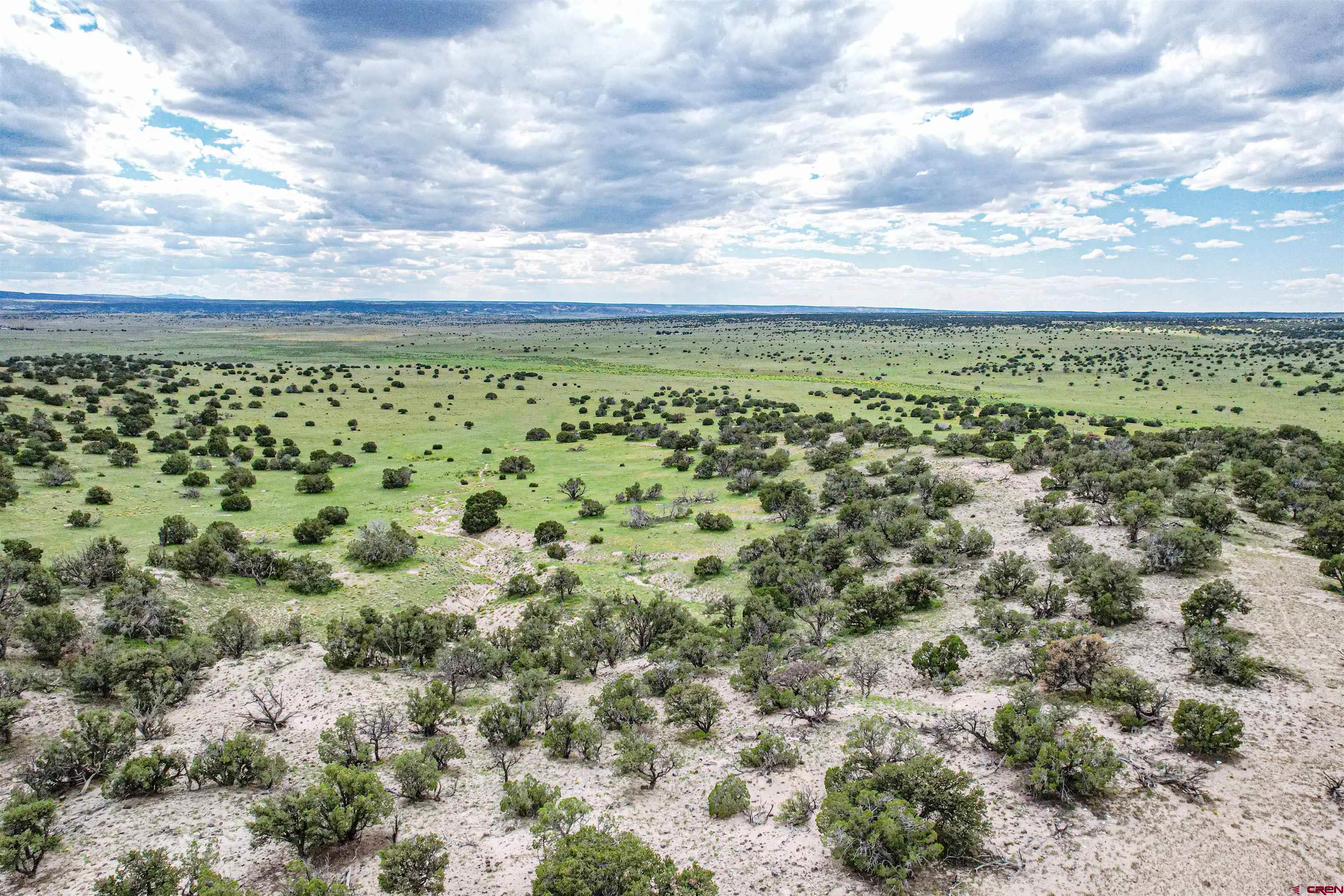 0 Omega Road, Unit CAT HILL Quemado, NM 87829 - Photo 31 of 43 a view of a large green field
