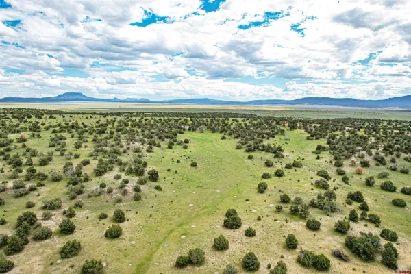 $3,200,000 | 0 Omega Road, Unit CAT HILL, Pie Town, NM 87827