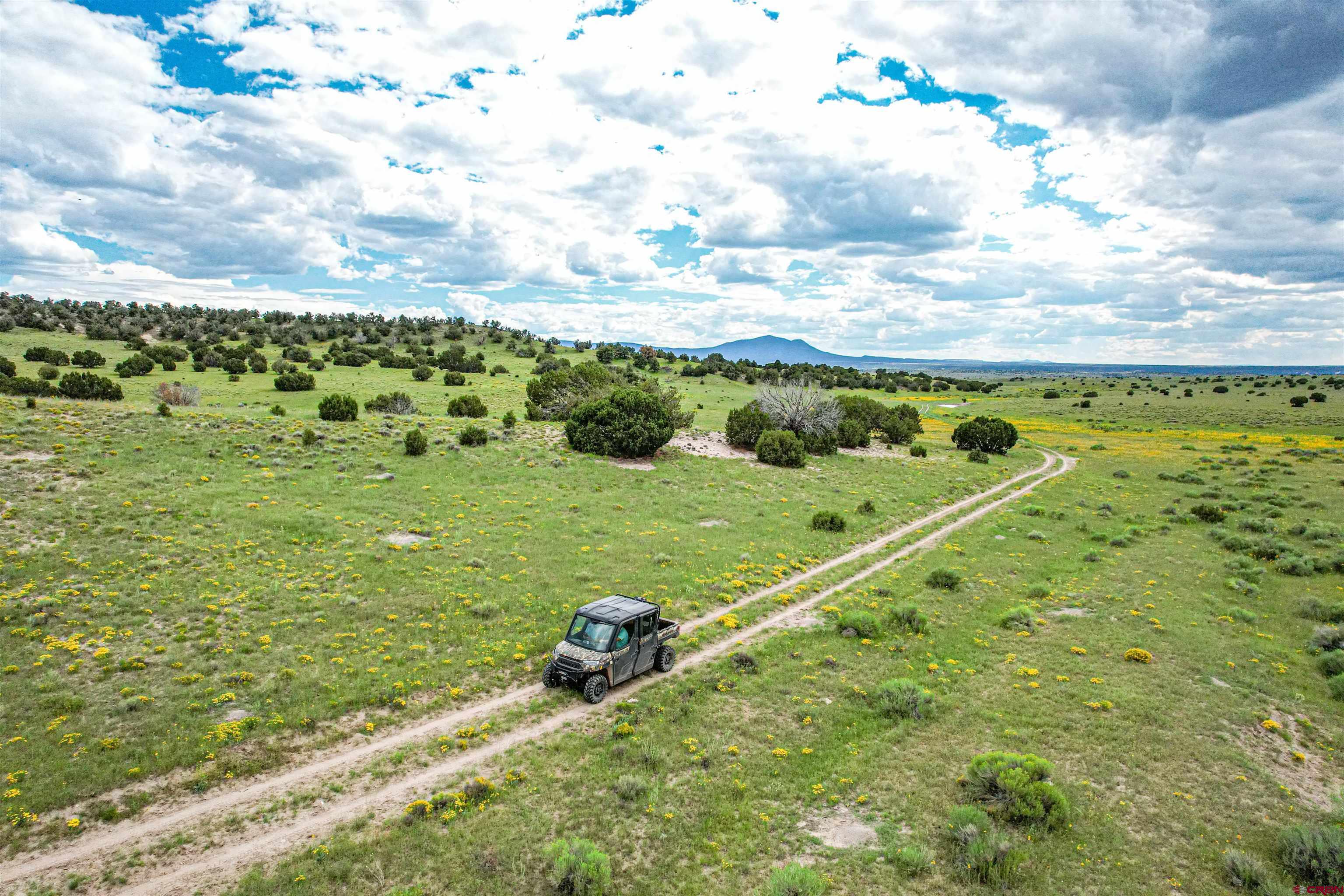 0 Omega Road, Unit CAT HILL Pie Town, NM 87827 - Photo 33 of 43