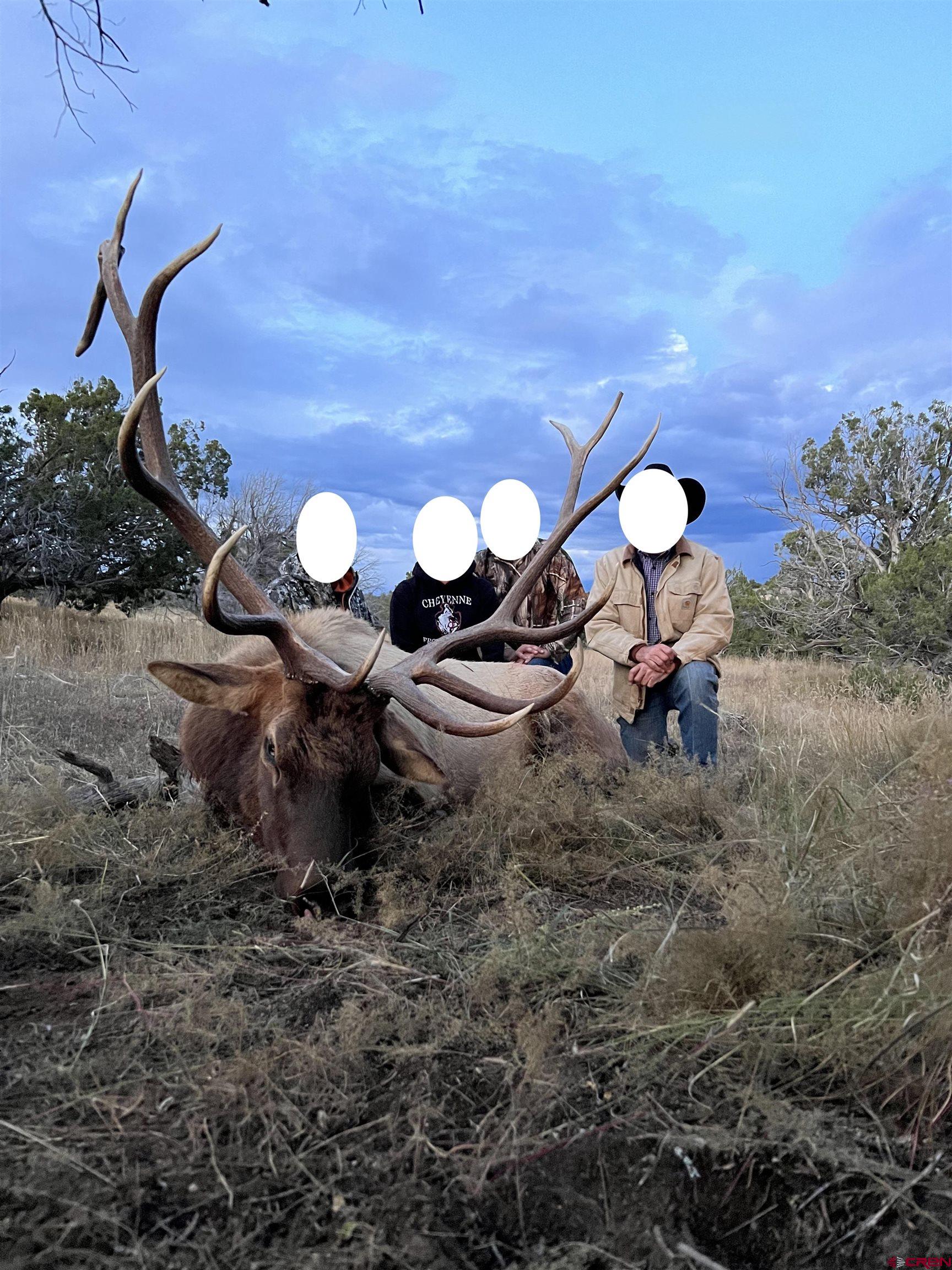 0 Omega Road, Unit CAT HILL Pie Town, NM 87827 - Photo 36 of 43 a backyard of a house with table and chairs