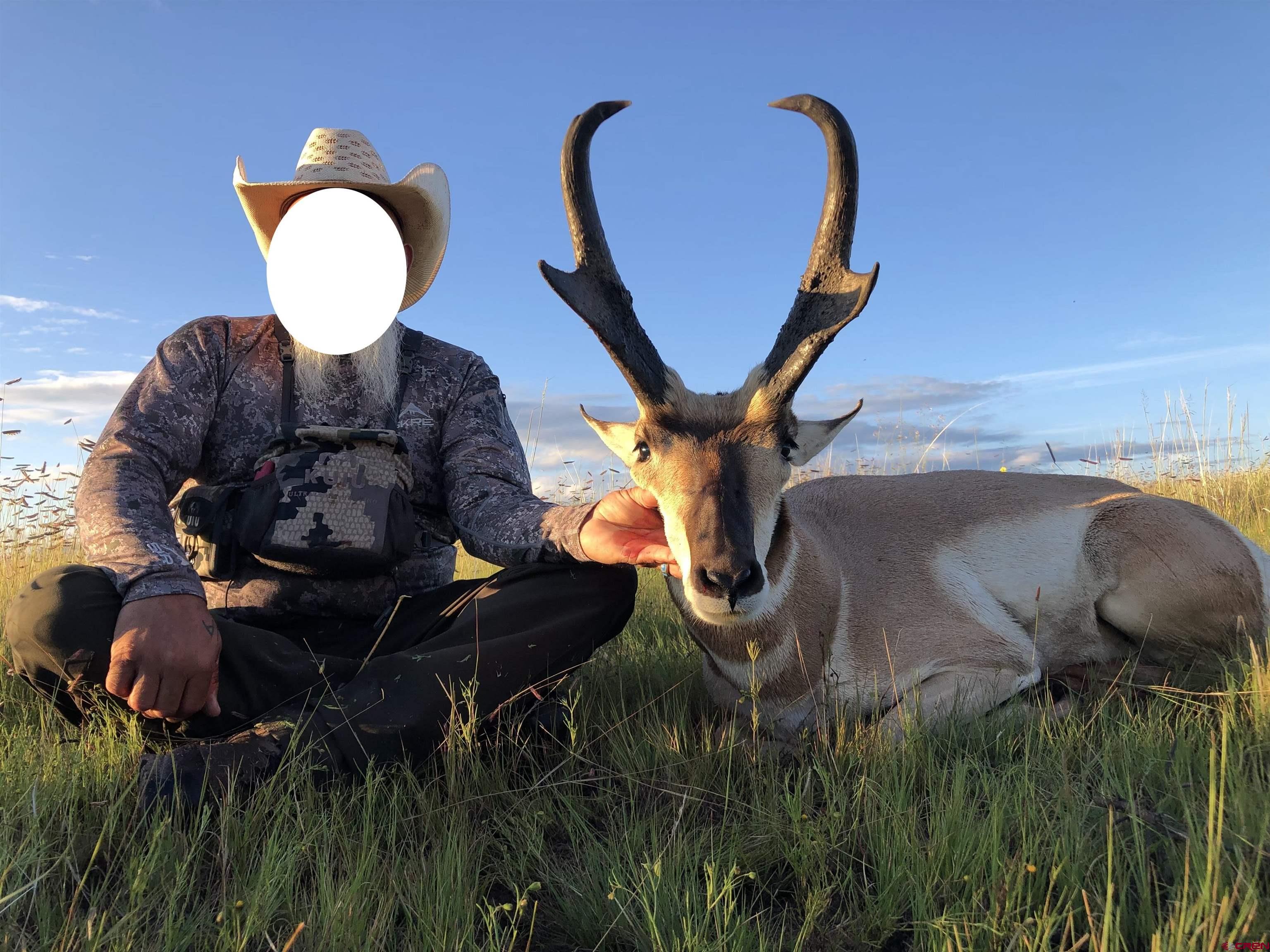 0 Omega Road, Unit CAT HILL Pie Town, NM 87827 - Photo 37 of 43