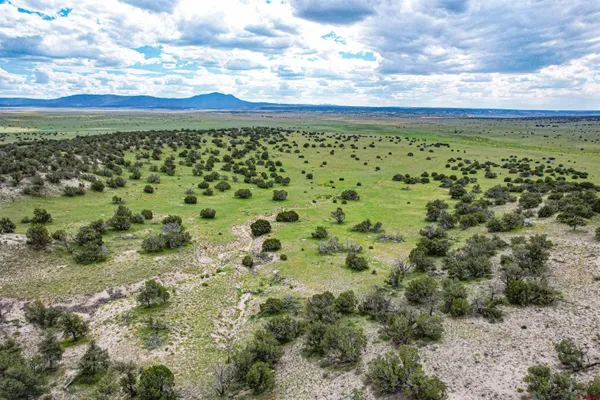 $3,200,000 | 0 Omega Road, Unit CAT HILL, Pie Town, NM 87827