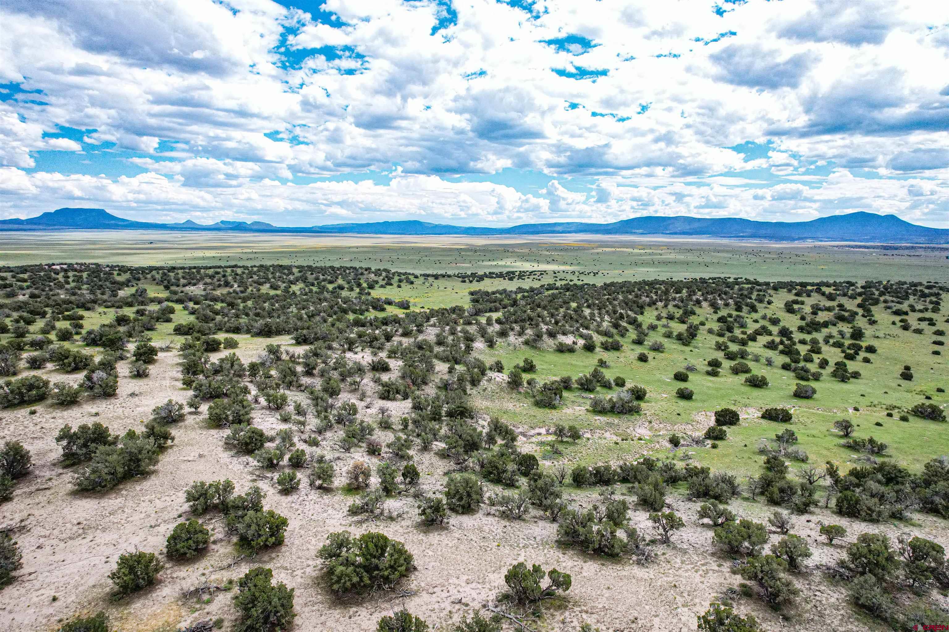 0 Omega Road, Unit CAT HILL Pie Town, NM 87827 - Photo 39 of 43