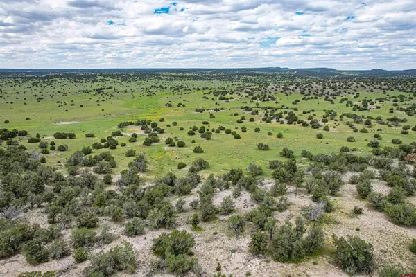$3,200,000 | 0 Omega Road, Unit CAT HILL, Pie Town, NM 87827