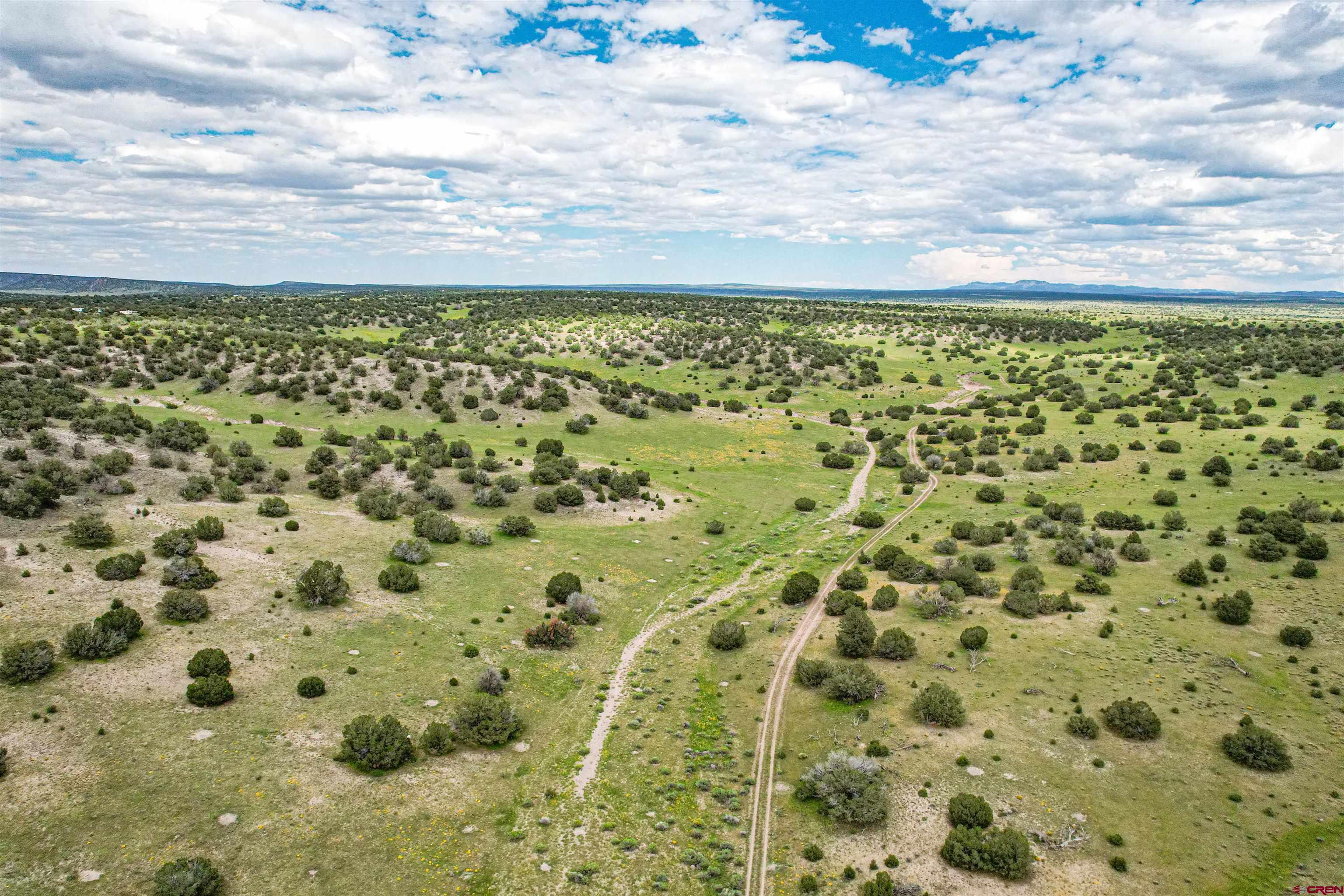 0 Omega Road, Unit CAT HILL Quemado, NM 87829 - Photo 41 of 43 a view of a yard with an outdoor space