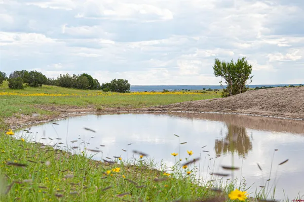 $3,200,000 | 0 Omega Road, Unit CAT HILL, Pie Town, NM 87827