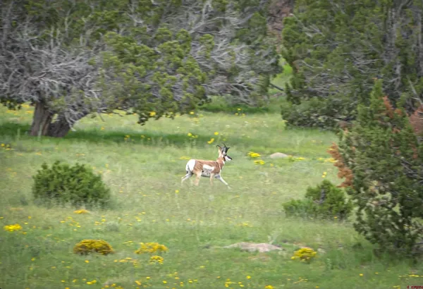 a view of a large building with lots of green space