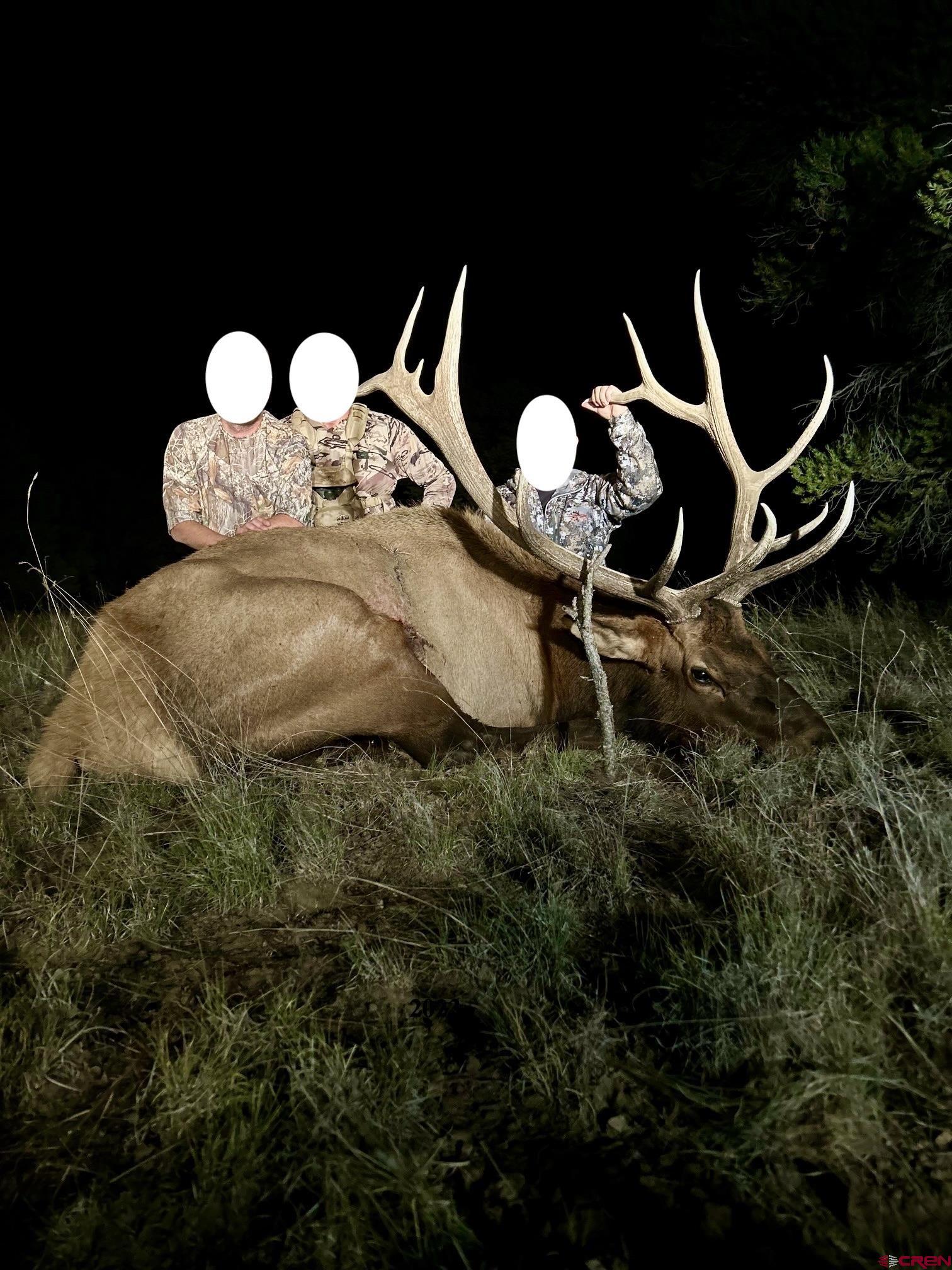 0 Omega Road, Unit CAT HILL Pie Town, NM 87827 - Photo 10 of 43