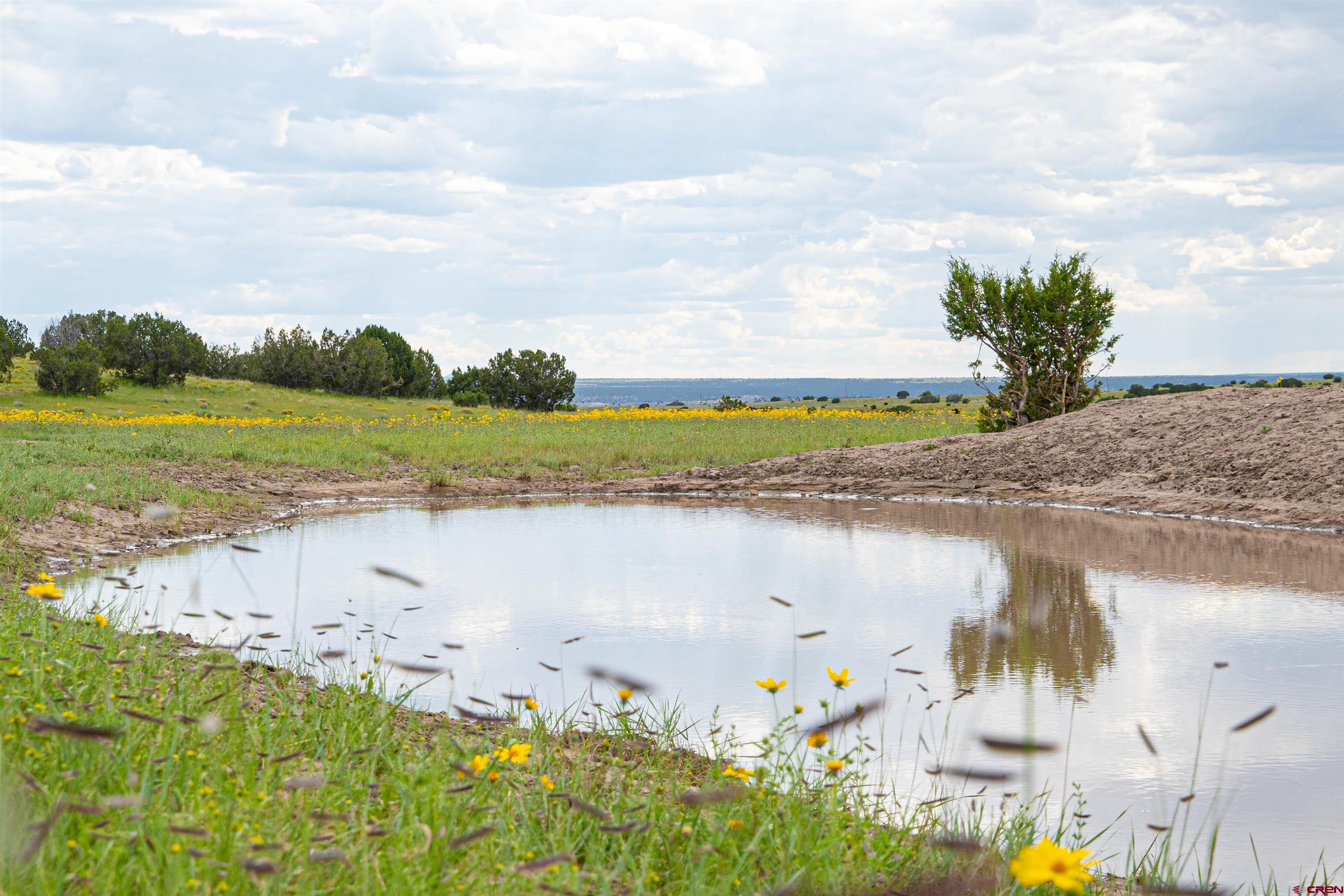 0 Omega Road, Unit CAT HILL Quemado, NM 87829 - Photo 10 of 43 a view of a lake with a lake