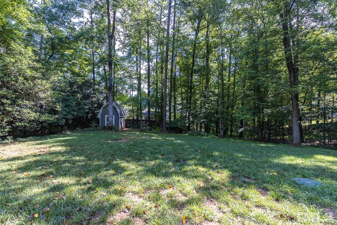 7929 Kingsland Drive Raleigh, NC 27613 - Photo 36 of 46 a view of a tree in a yard with large trees