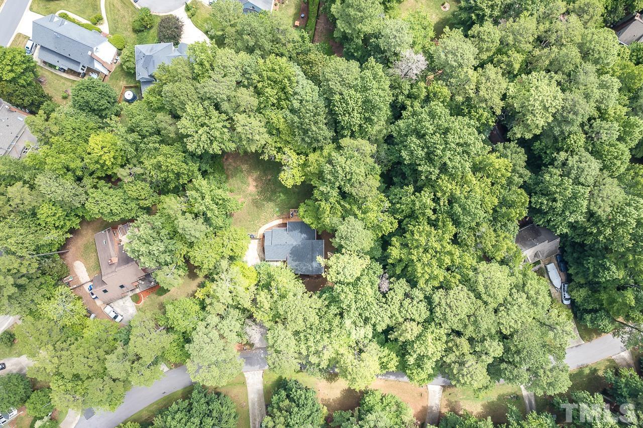 7929 Kingsland Drive Raleigh, NC 27613 - Photo 44 of 46 a view of a plants with a yard