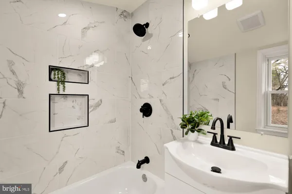 a bathroom with a sink a potted plant and a shower