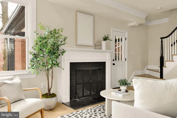 a living room with furniture a fireplace and a potted plant