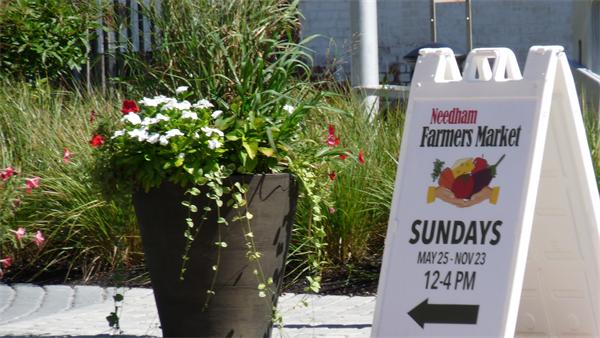 46 Maple Street Needham, MA 02492 - Photo 5 of 12 a sign that is sitting in front of a door