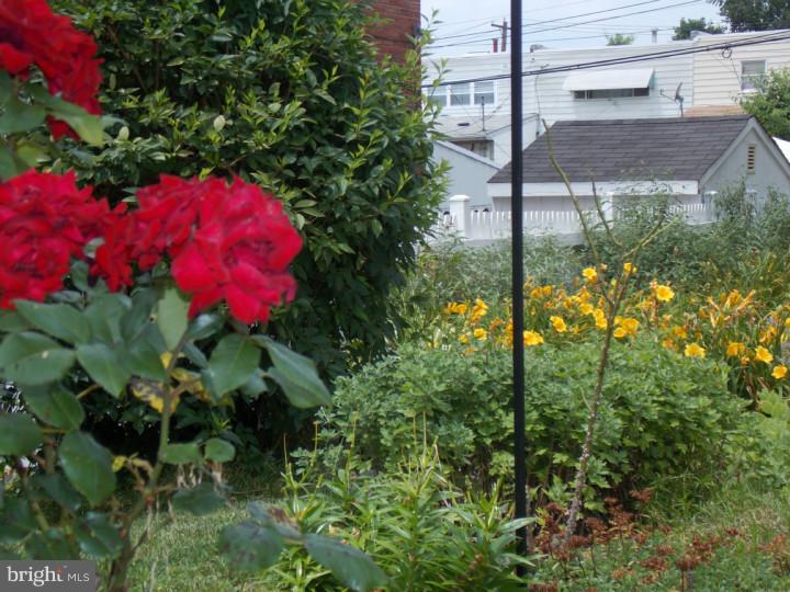 12118 Medford Road Philadelphia, PA 19154 - Photo 12 of 17